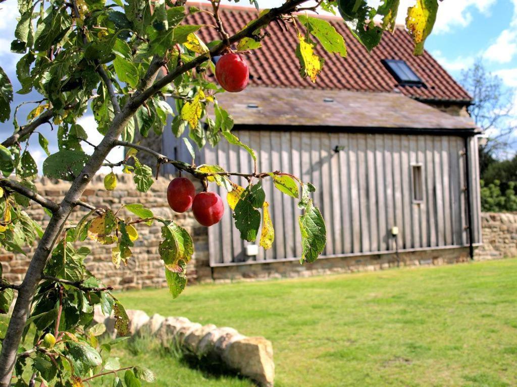 Plum Tree Cottage Witton le Wear Dış mekan fotoğraf