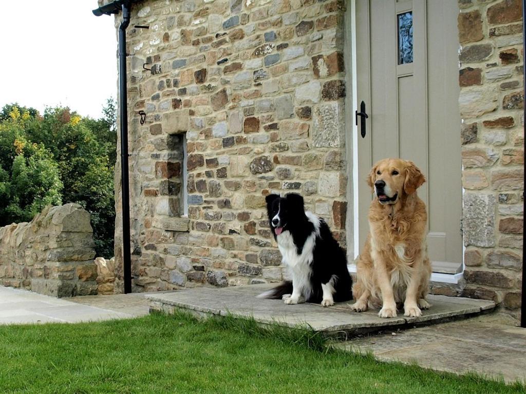 Plum Tree Cottage Witton le Wear Oda fotoğraf